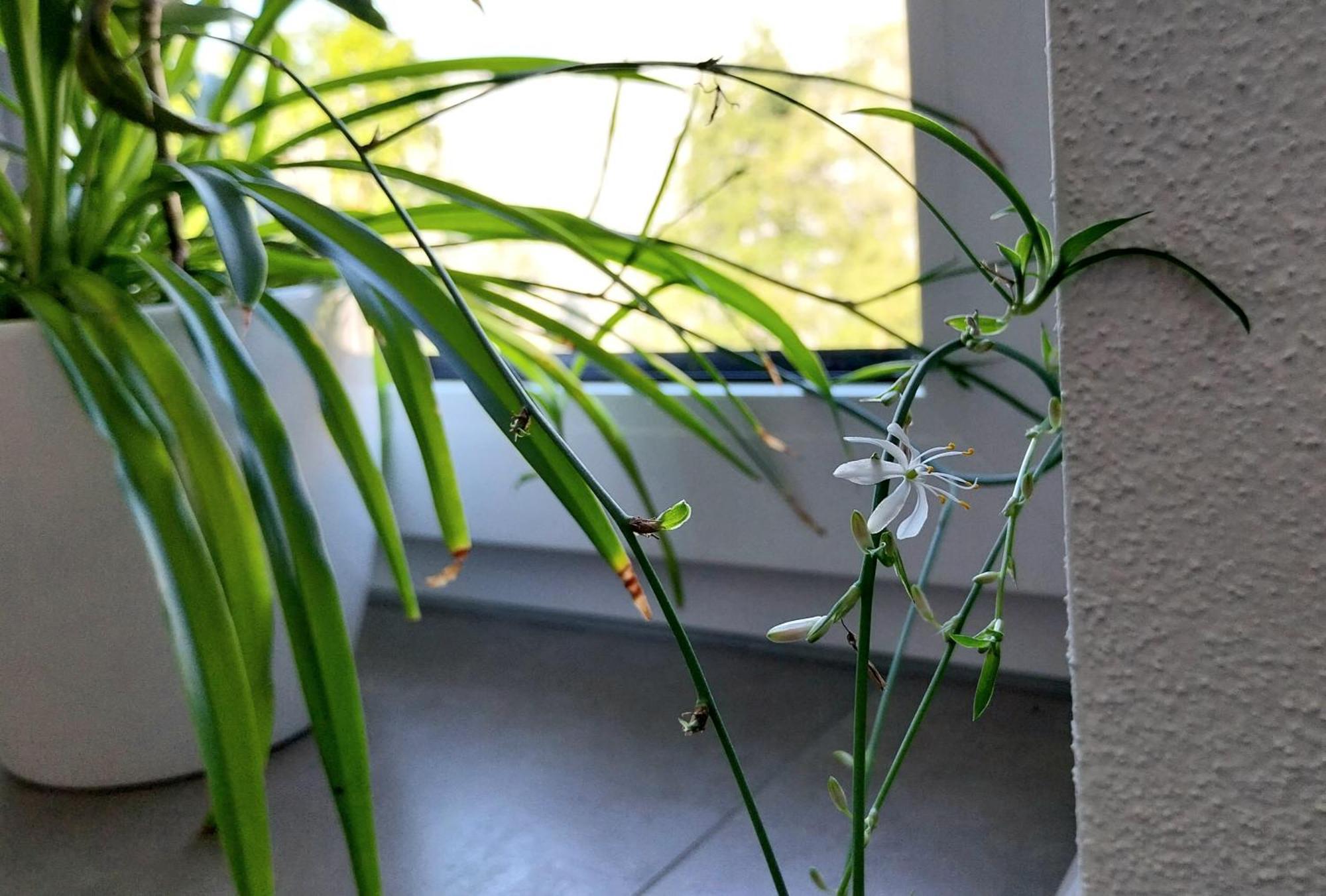Kempten Mit Bauernhof-Flair 外观 照片