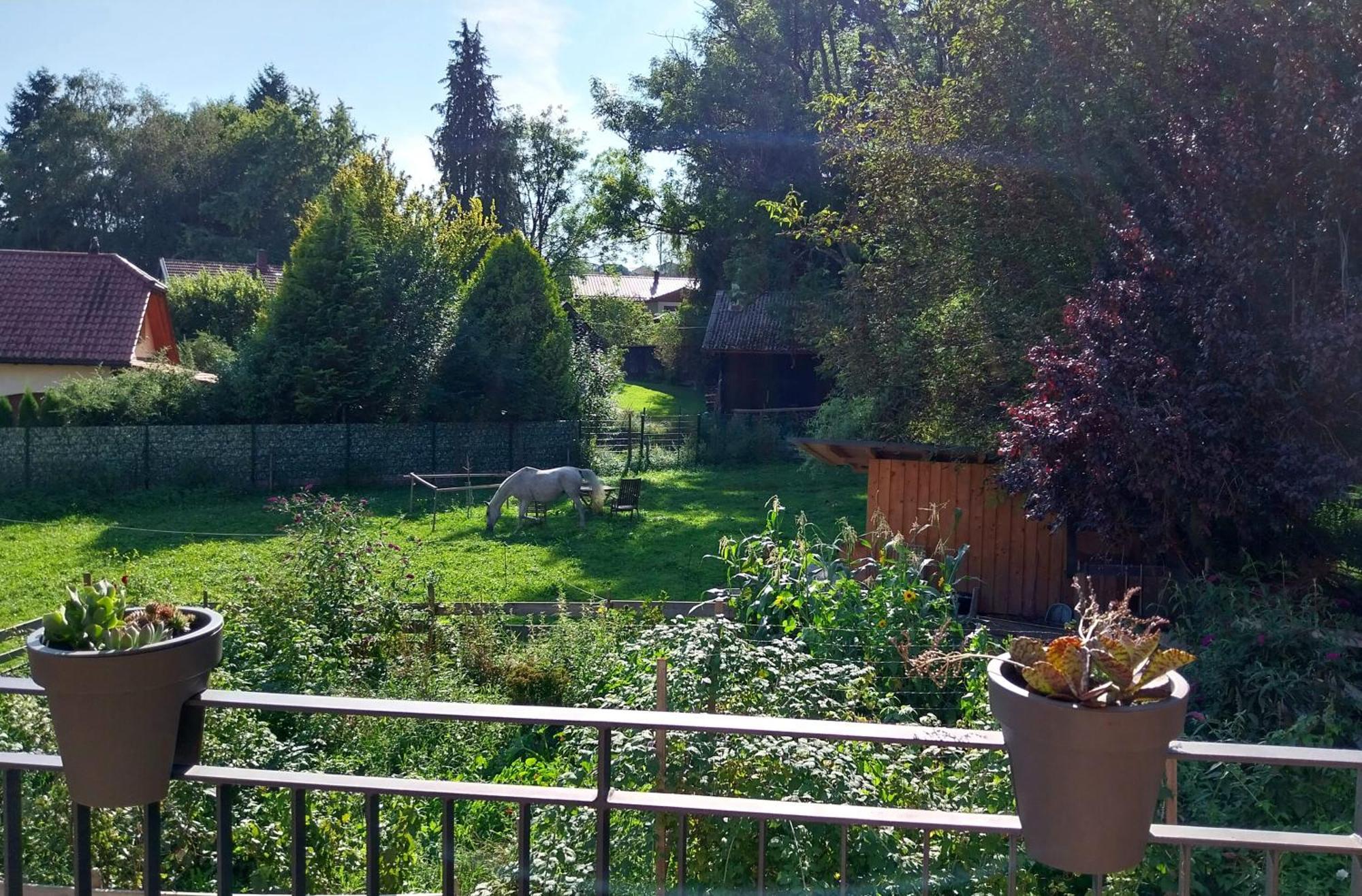 Kempten Mit Bauernhof-Flair 外观 照片